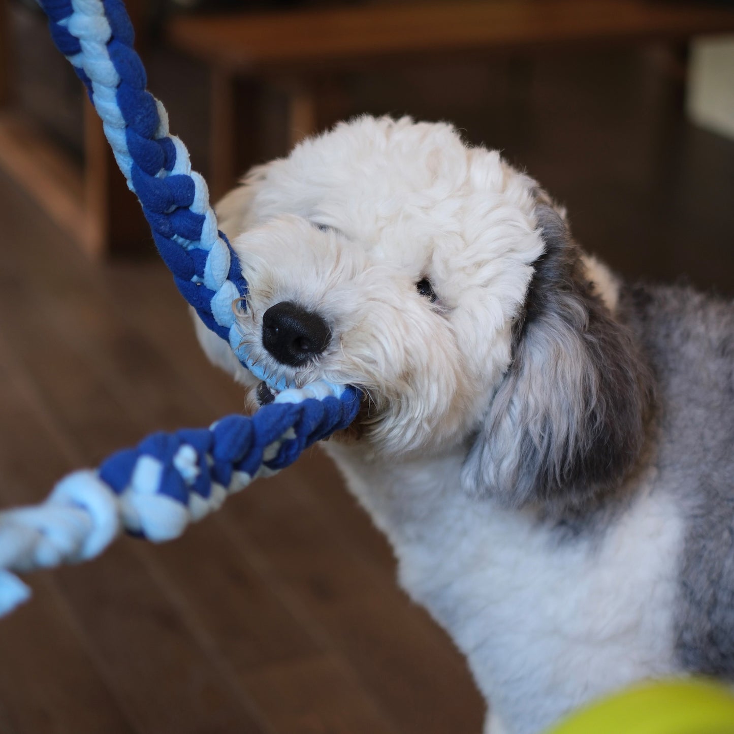 Braided Fleece Tug of War Dog Toy- Butterfly Style