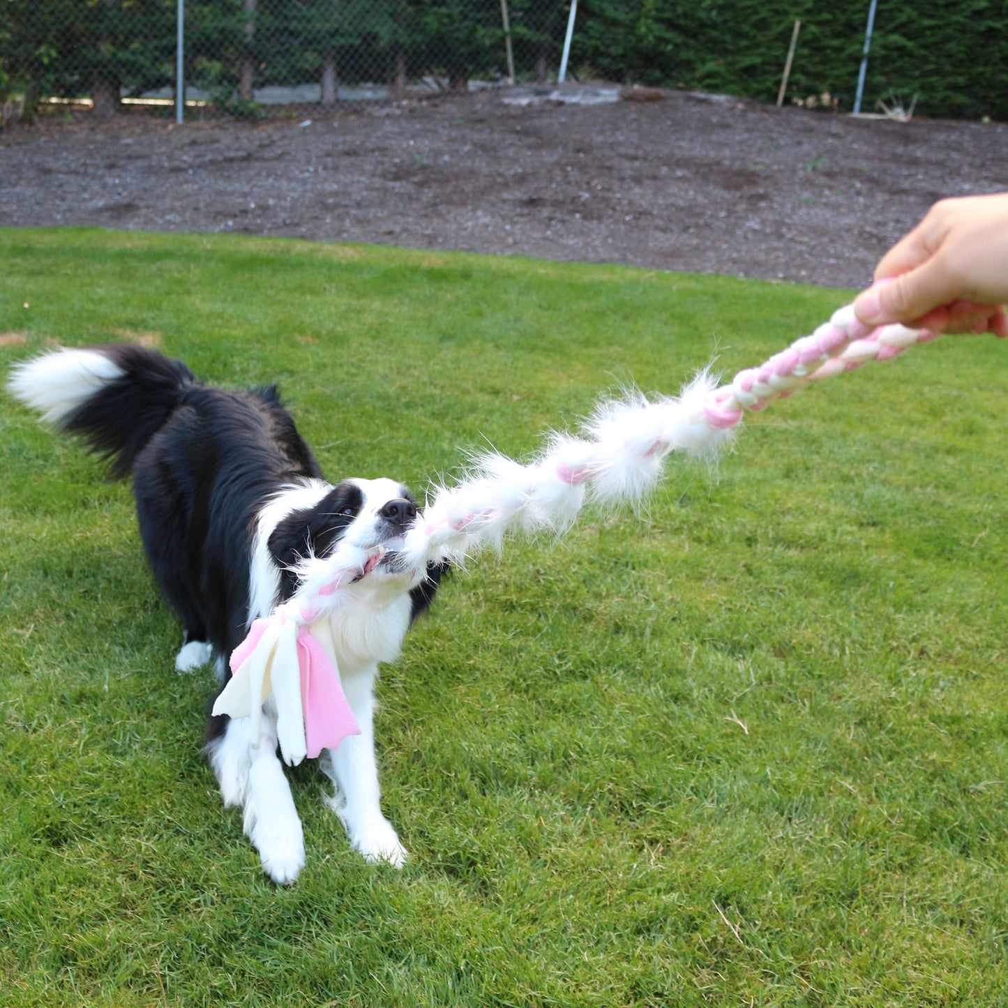 Braided Fleece Tug of War Dog Toy- Surprise Me (Ship a Random Style)